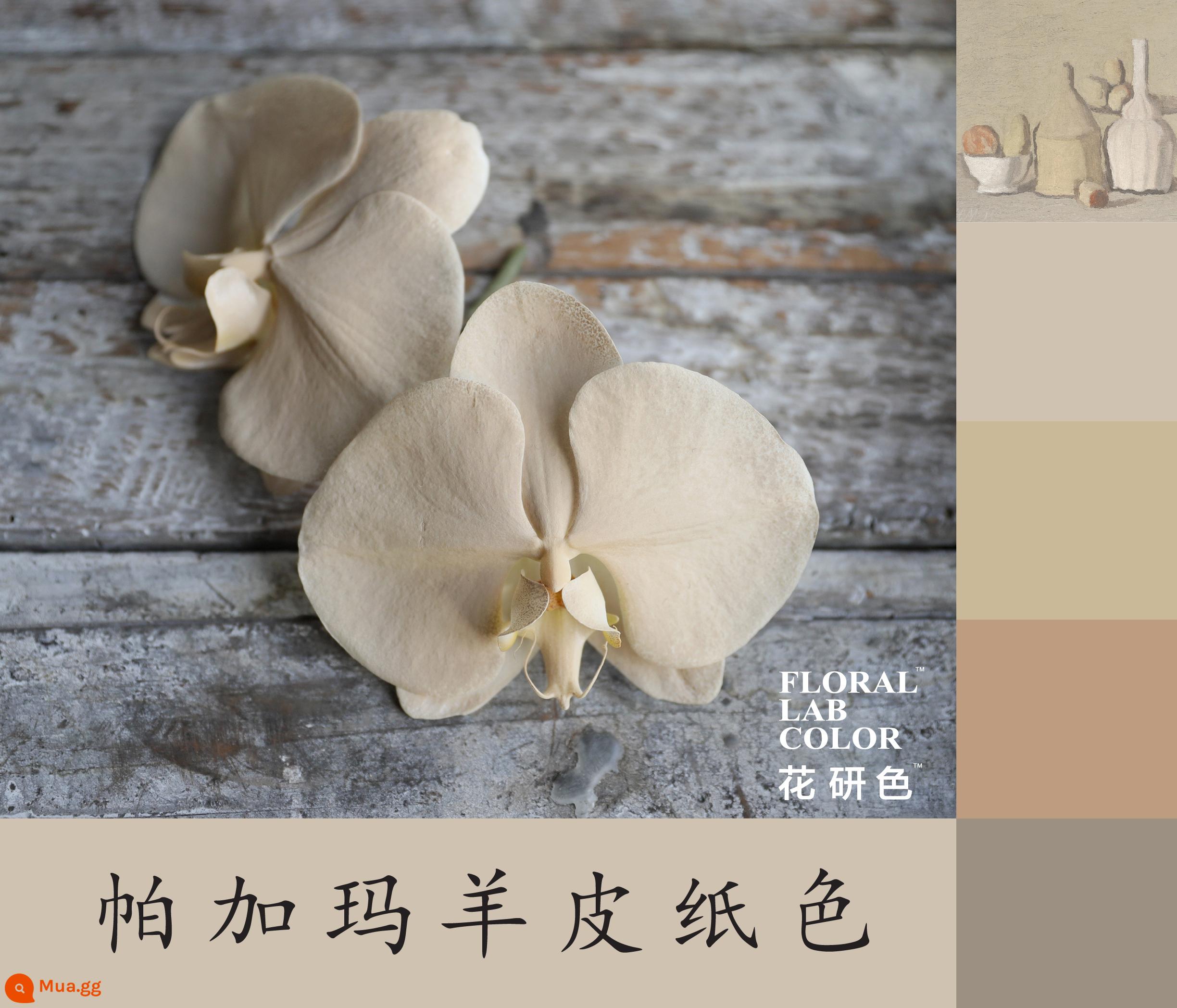 Flower Research color phun sơn phun màu đại lý thuốc nhuộm tóc chính hãng Michigan crush ice blue cao cấp màu Morandi - Giấy da Khaki 27 # Pergamon