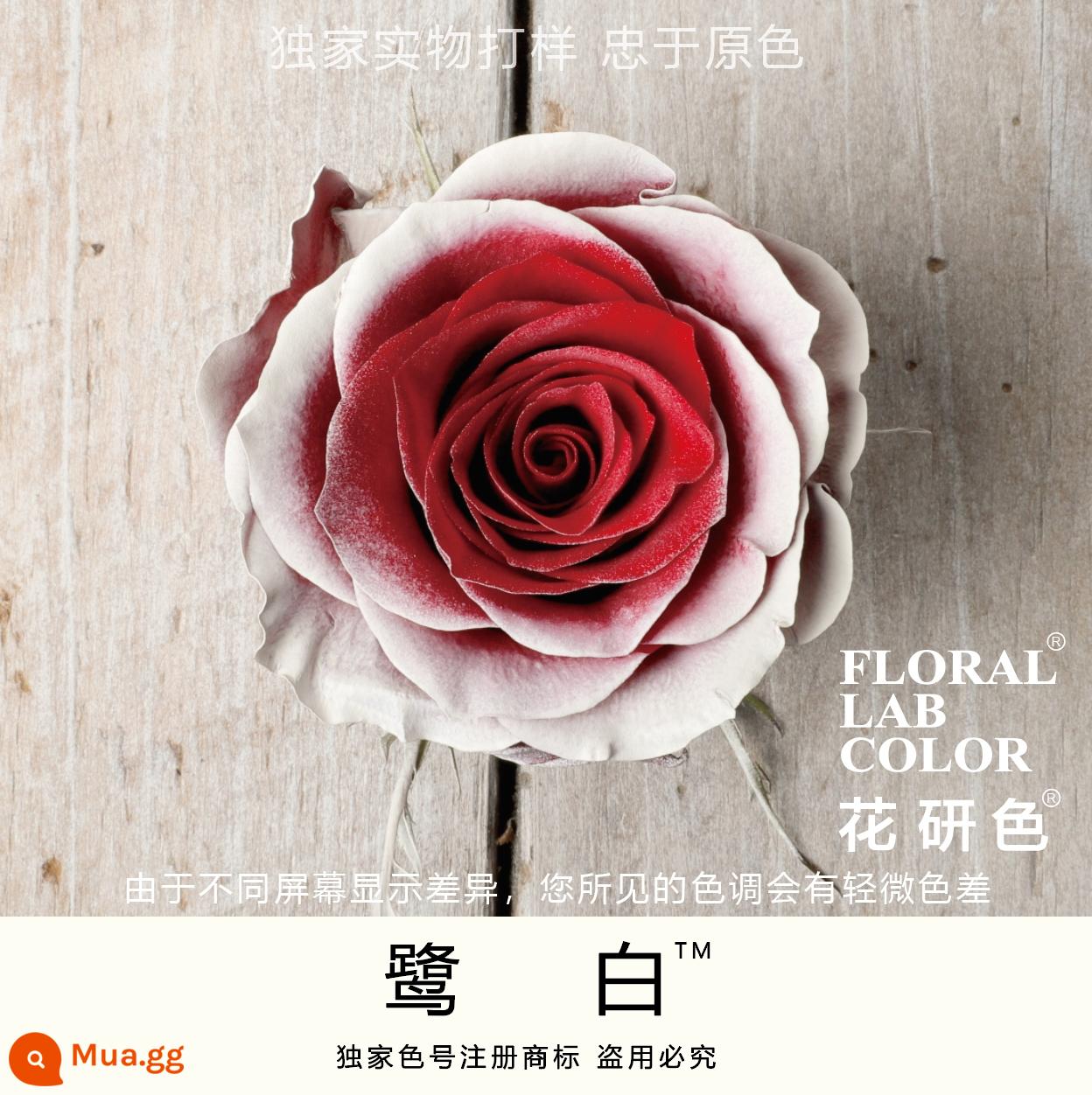 Flower Research color phun sơn phun màu đại lý thuốc nhuộm tóc chính hãng Michigan crush ice blue cao cấp màu Morandi - Lô Bạch 75#