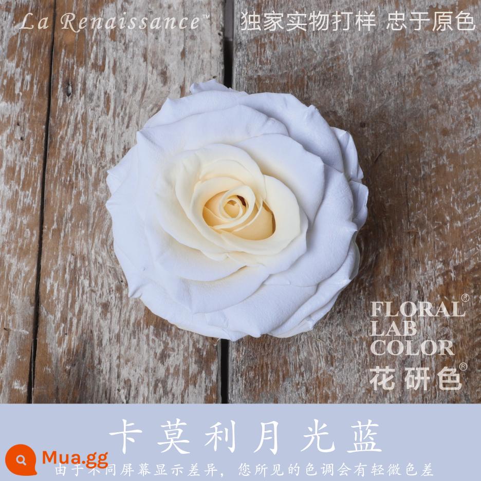 Flower Research color phun sơn phun màu đại lý thuốc nhuộm tóc chính hãng Michigan crush ice blue cao cấp màu Morandi - Camogli Ánh Trăng Xanh® 41#