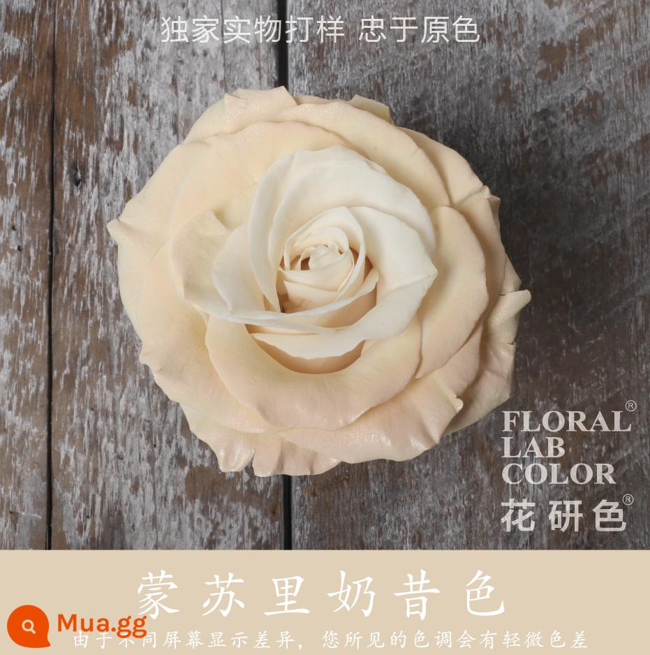 Flower Research color phun sơn phun màu đại lý thuốc nhuộm tóc chính hãng Michigan crush ice blue cao cấp màu Morandi - Sữa lắc Montsuri màu 05#