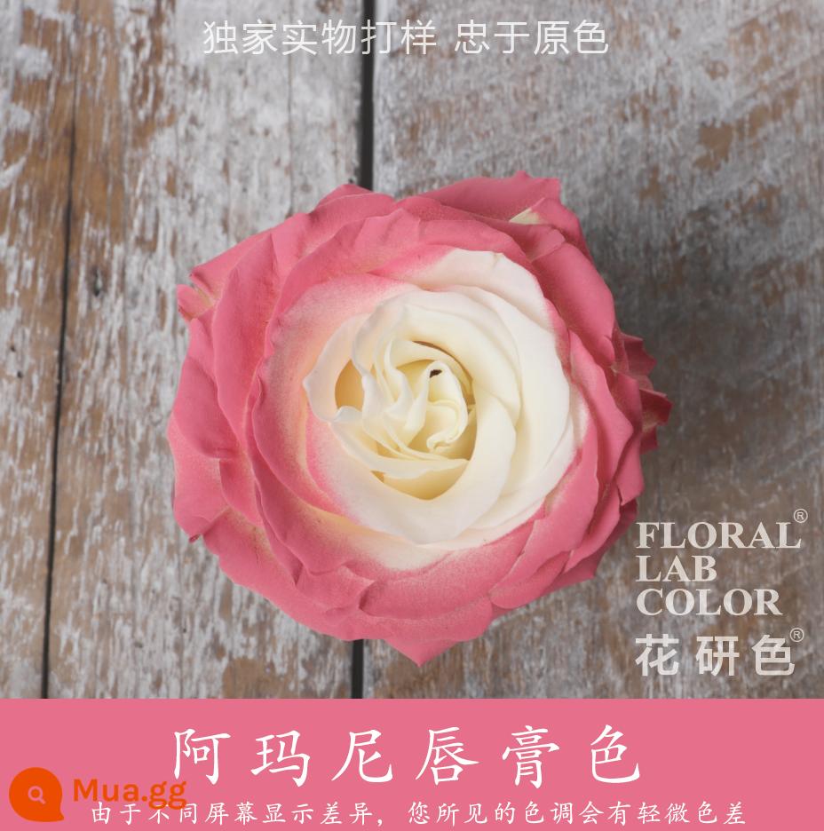 Flower Research color phun sơn phun màu đại lý thuốc nhuộm tóc chính hãng Michigan crush ice blue cao cấp màu Morandi - Màu son Armani 32#