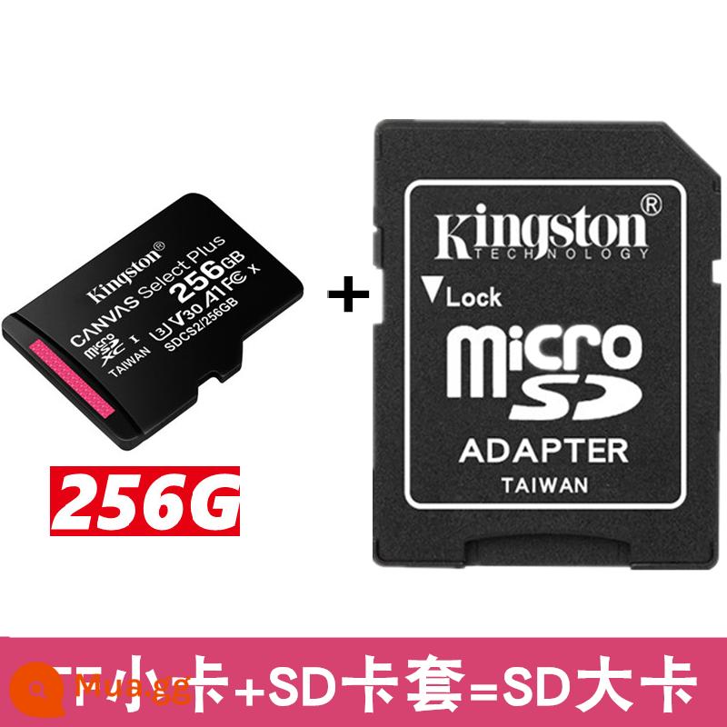 Máy ghi âm lái xe ô tô Kingstonsd lưu trữ tf thẻ 64g giám sát minisd điện thoại di động bộ nhớ thẻ t lưu trữ cd - Thẻ KingstonTF 256G+chủ thẻ SD