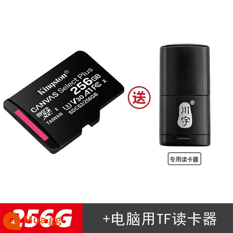 Máy ghi âm lái xe ô tô Kingstonsd lưu trữ tf thẻ 64g giám sát minisd điện thoại di động bộ nhớ thẻ t lưu trữ cd - Thẻ KingstonTF 256G + đầu đọc thẻ Chuanyu TF