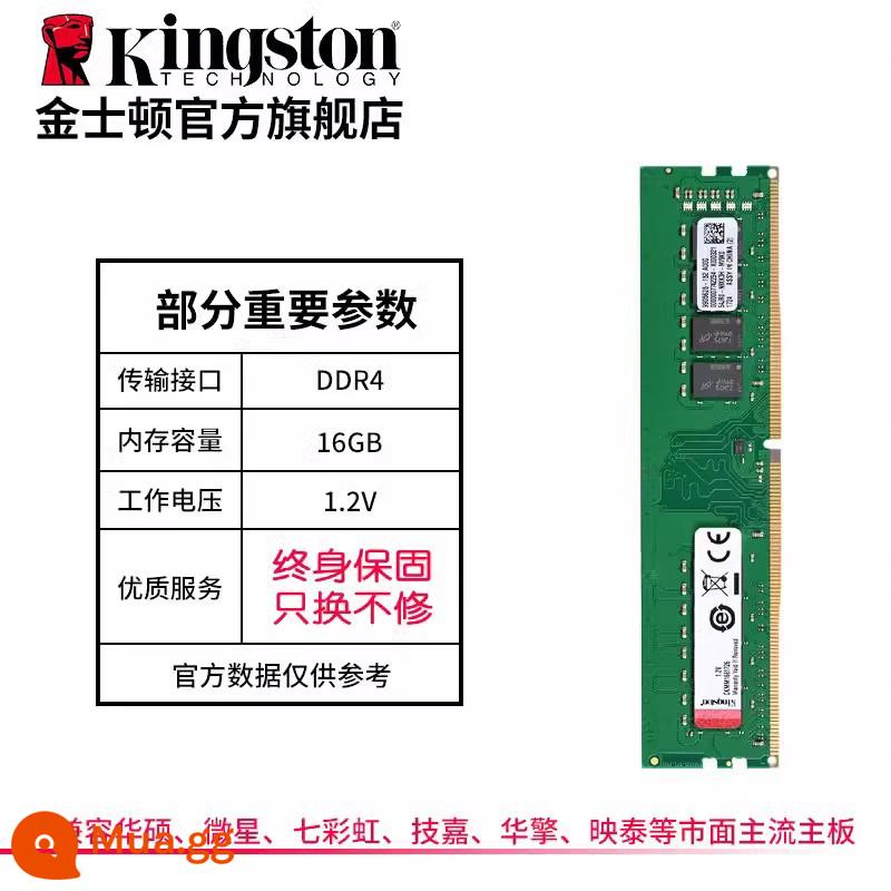 Kingstonfury hacker ddr4 3200/3600/16g/32g bộ nhớ trò chơi máy tính để bàn - Dải chung 16G đơn