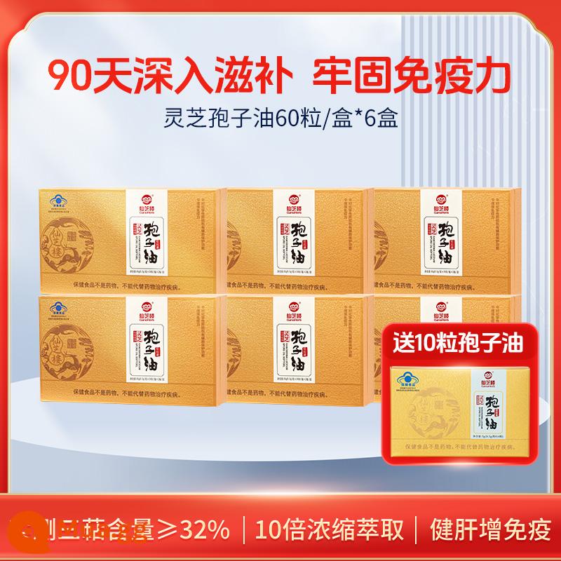 Triterpenes cao] Xianzhilou Ganoderma dầu bào tử viên nang mềm 60 viên bột bào tử không phải Ganoderma chính thức của cửa hàng hàng đầu - Gói theo mùa] 60 viên * 6 hộp (miễn phí 10 viên)