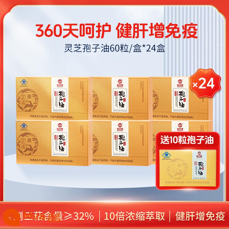 Triterpenes cao] Xianzhilou Ganoderma dầu bào tử viên nang mềm 60 viên bột bào tử không phải Ganoderma chính thức của cửa hàng hàng đầu - Gói hàng năm] 60 viên*24 hộp (miễn phí 10 viên)