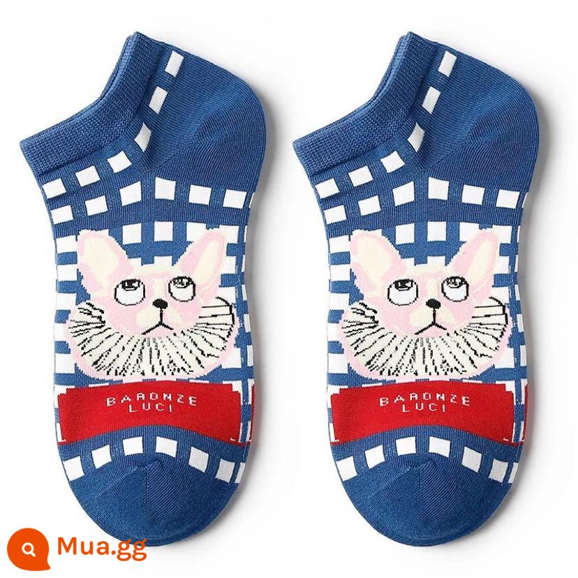 CrazySocks Mùa Thu Đông Kẻ Sọc Mới Mèo Vô Hình Tất Thể Thao Đa Năng Xu Hướng Đường Phố Nam Nữ Cotton - Mèo sọc xanh size 35-40