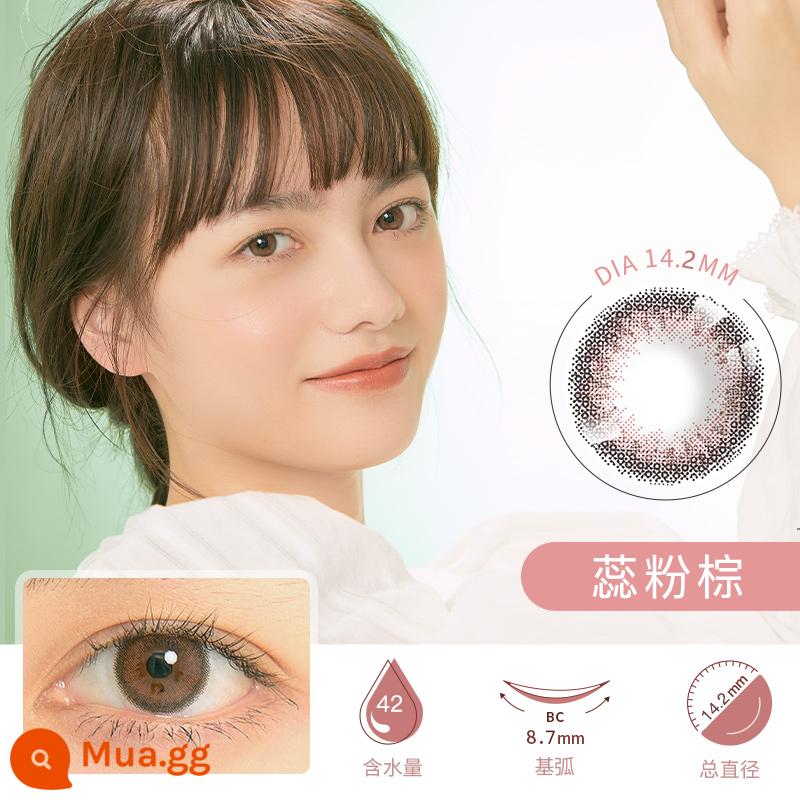 Học sinh rắn SEED của Nhật Bản Kefrey hộp dùng một lần hàng ngày cho trẻ sơ sinh màu xám học sinh nữ đường kính nhỏ 30 miếng kính cận thị tiếp xúc lớn - nhụy hoa màu nâu