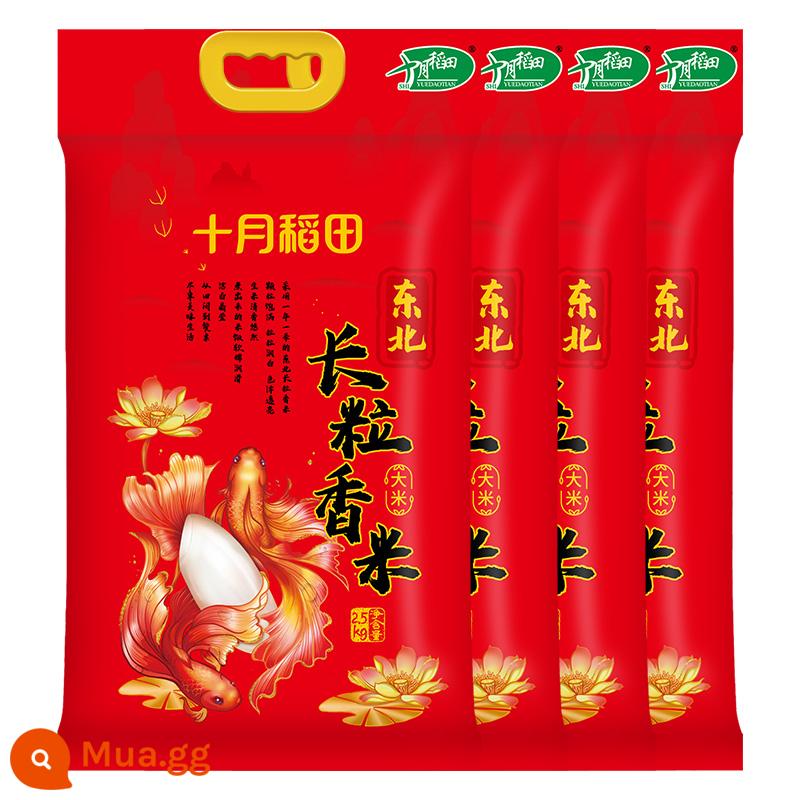 [Lúa mới 2023] Cánh đồng lúa tháng 10 Liaohe Gạo thơm hạt dài Gạo Đông Bắc 2,5kg Gạo Japonica 5kg Gạo thơm - Gạo thơm hạt dài 2,5kg*4 bao