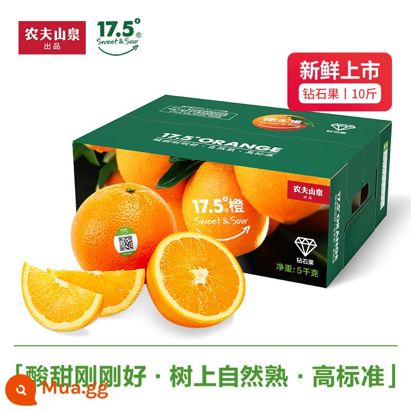 Nongfu Spring 17,5° Diamond Navel Oranges 10 catties cam tươi theo mùa một gói - 65mm (bao gồm)-70mm (không bao gồm)