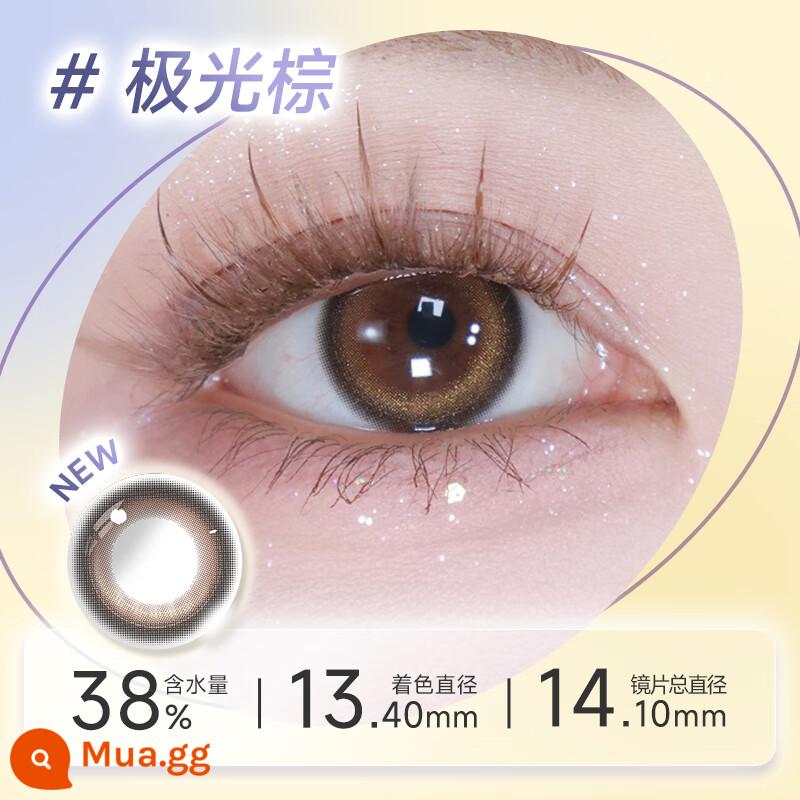 Haichang Impression of Star Eyes Beauty Contacts Dùng một lần nửa năm 1 cái x 1 hộp Color Contact Kính cận thị Không dùng hàng ngày và hàng tháng - Aurora Brown [Màu mới]-Dòng màu nâu ấm mơ màng