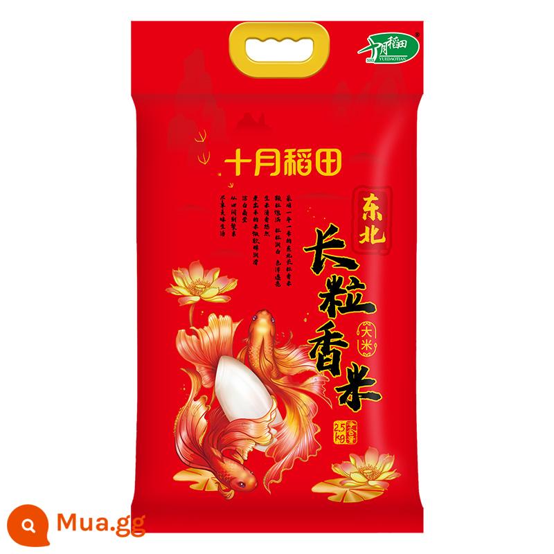 [Lúa mới 2023] Cánh đồng lúa tháng 10 Liaohe Gạo thơm hạt dài Gạo Đông Bắc 2,5kg Gạo Japonica 5kg Gạo thơm - Gạo thơm hạt dài 2,5kg*1 bao