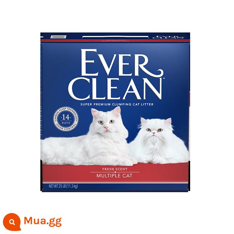 EverClean Mỹ nhập khẩu cát vệ sinh cho mèo bạch kim kim cương xanh đỏ xanh tím nhãn không bụi cát vệ sinh cho mèo 11,3kg bentonite khử mùi - Mô hình nhiều mèo nhãn đỏ