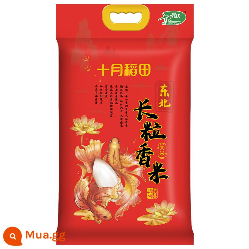 Ruộng tháng 10 gạo thơm hạt dài 2,5kg gạo Đông Bắc 5 cân gạo japonica hút chân không gói nhỏ thun - Gạo thơm hạt dài 2,5kg