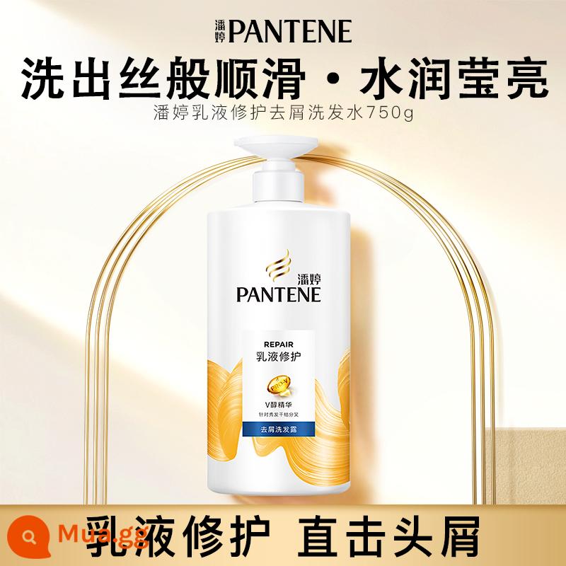 Pantene Axit Amin Trị Gàu Dầu Gội Nước Lỏng Dầu Gội Sửa Chữa Kiểm Soát Dầu Lông Tơ Dầu Tẩy Chống Ngứa 750G - ⭐[Trực tiếp trị gàu] Dầu gội trị gàu Emulsion 750g Dung tích lớn