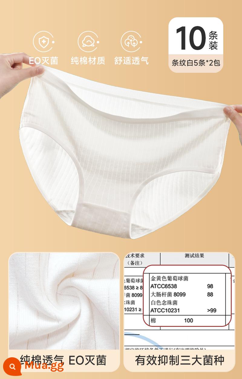 Đồ lót dùng một lần cho nữ, quần short cotton nguyên chất vô trùng, quần dành cho nam sau sinh cỡ lớn dùng một lần hàng ngày cho nam, đi du lịch và công tác, không cần giặt - ☆Giảm giá hấp dẫn☆[Khử trùng EO + Kháng khuẩn 3A] Áo trắng 10 dải dành cho nữ