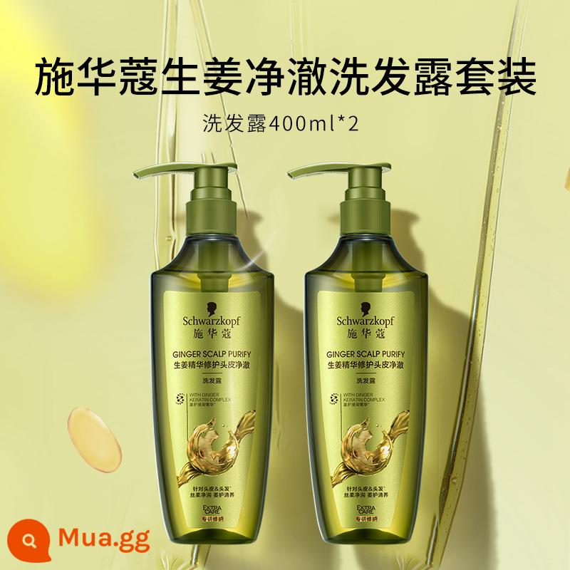 Bộ dầu gội trị gàu Schwarzkopf gừng mềm mượt dầu gội trị gàu hương thơm lâu dài - [Ginger Jingche] Dầu Gội Gừng 400ml*2