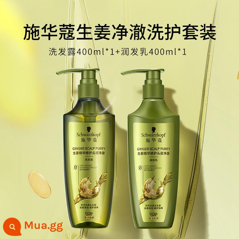 Bộ dầu gội trị gàu Schwarzkopf gừng mềm mượt dầu gội trị gàu hương thơm lâu dài - [Ginger Jingche] Dầu Gội Gừng 400ml + Dầu Xả 400ml