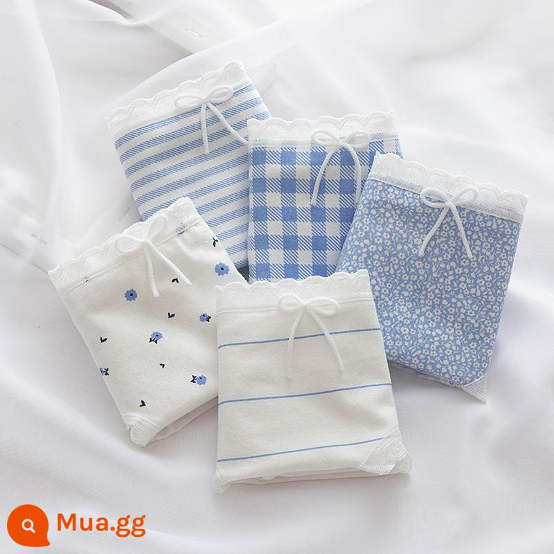 Đồ lót cotton nguyên chất cho bé gái, bé trai lớn, học sinh, quần đùi boxer tam giác trẻ em, bé gái 100% cotton không PP - Hoa màu xanh (5 hình tam giác)