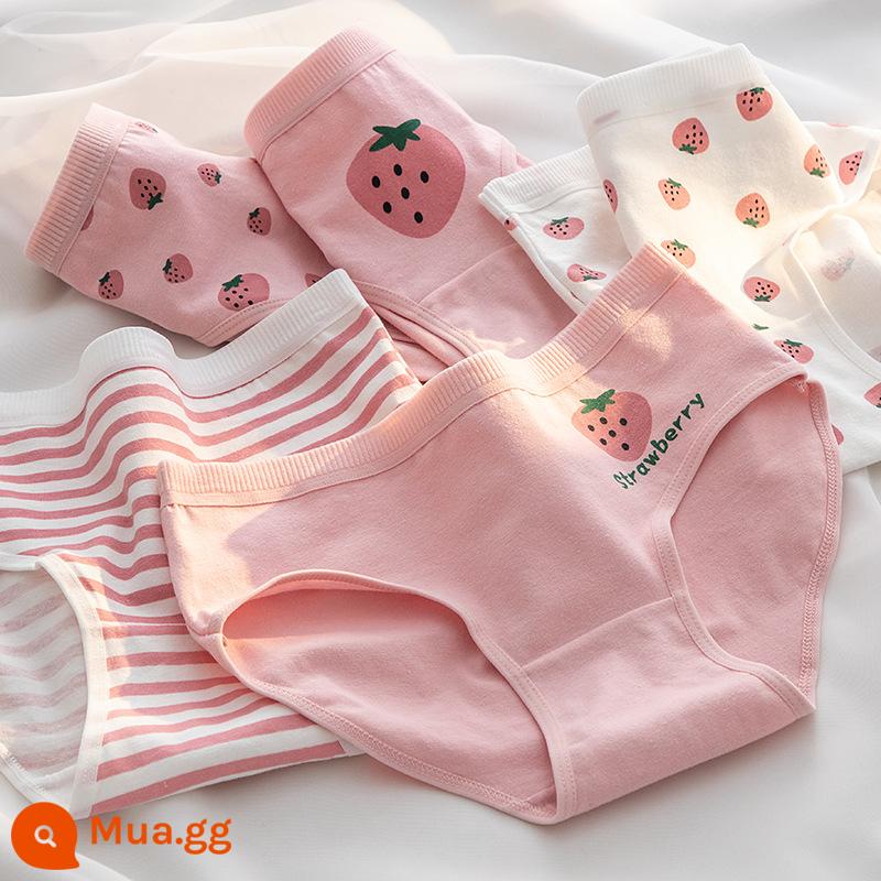 Quần lót cotton nguyên chất bé gái, tam giác trẻ em lớn, trẻ em học sinh, quần short cotton 100% không véo mông cho bé gái - Nhiều quả dâu tây [5 gói thân thiện với da]