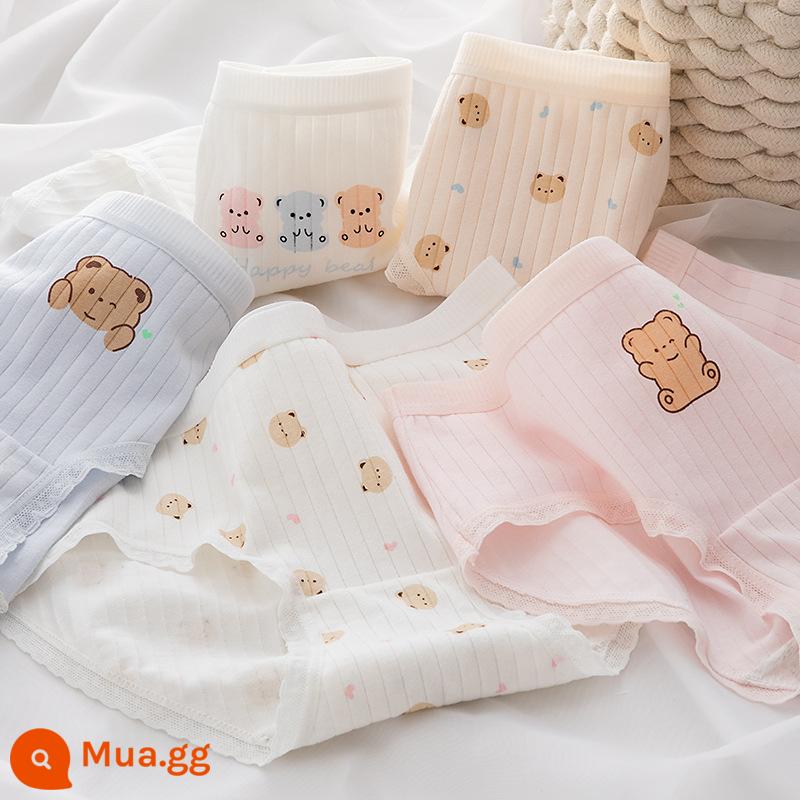 Quần lót cotton nguyên chất bé gái, tam giác trẻ em lớn, trẻ em học sinh, quần short cotton 100% không véo mông cho bé gái - Gấu đầy màu sắc [Gói 5 thân thiện với da]