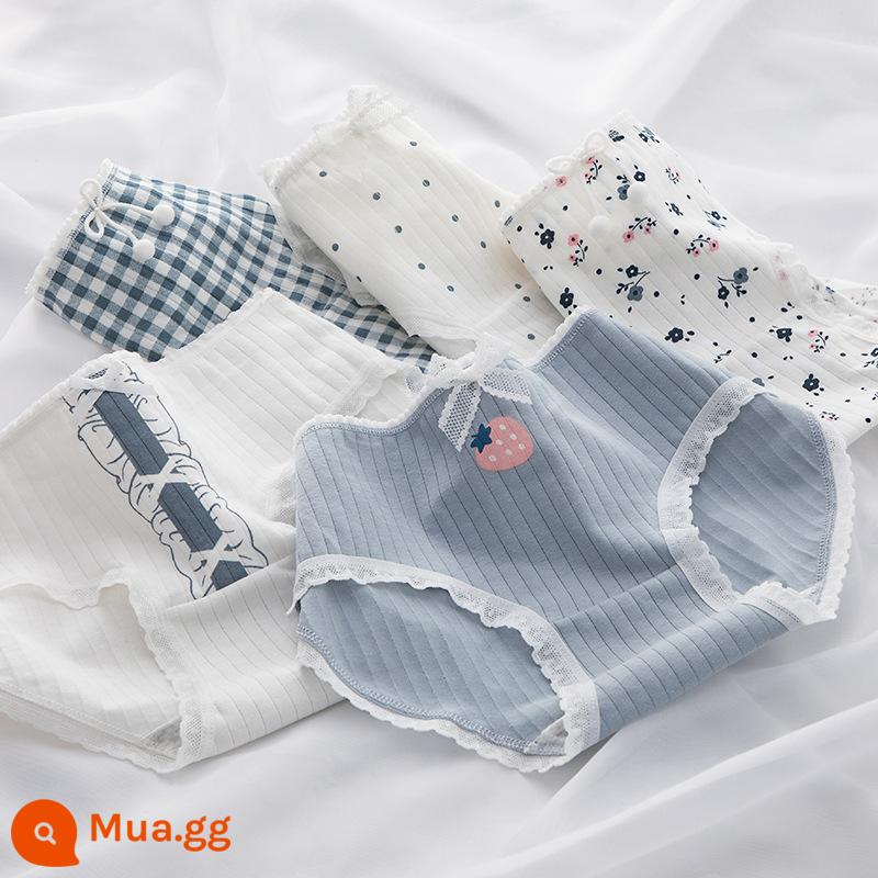 Quần lót cotton nguyên chất bé gái, tam giác trẻ em lớn, trẻ em học sinh, quần short cotton 100% không véo mông cho bé gái - Dòng Mist Blue [Gói 5 thân thiện với da]