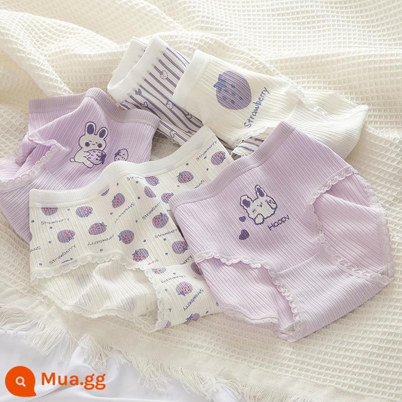 Quần lót cotton nguyên chất bé gái, tam giác trẻ em lớn, trẻ em học sinh, quần short cotton 100% không véo mông cho bé gái - Thỏ Tím [5 Gói Thân Thiện Với Da]