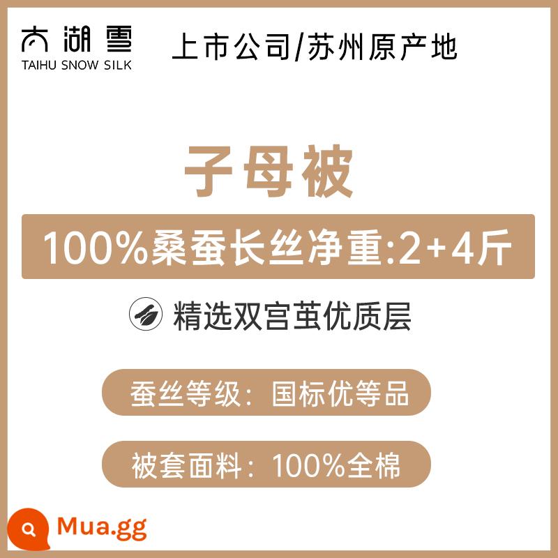 Taihu Chăn bông lụa tuyết Lõi chăn mùa thu đông 100% sợi tơ tằm Chăn bốn mùa Chăn mẹ hai trong một Qinrou chính hãng - [Chăn đôi] 100% sợi tằm trọng lượng tịnh 2 + 4 pounds