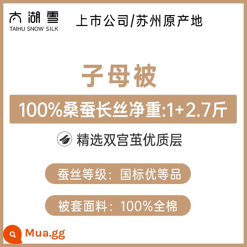 Taihu Chăn bông lụa tuyết Lõi chăn mùa thu đông 100% sợi tơ tằm Chăn bốn mùa Chăn mẹ hai trong một Qinrou chính hãng - [Chăn đôi] 100% sợi tằm trọng lượng tịnh 1 + 2,7 catties