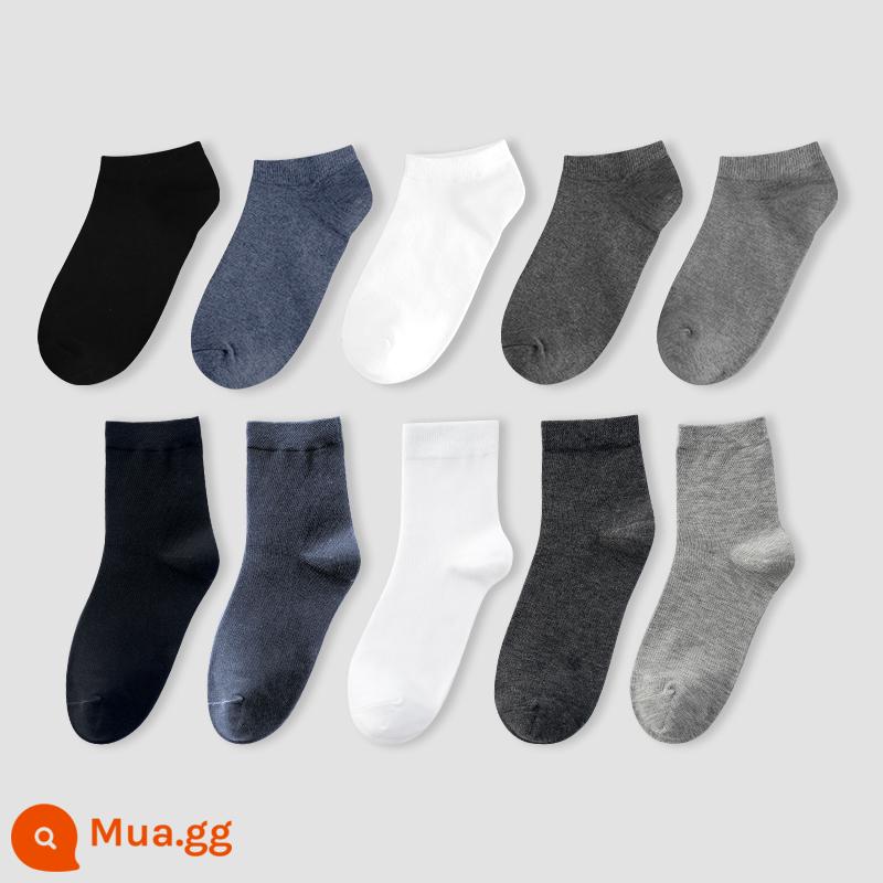 Nanjiren Vớ Nam Ống Giữa Cotton Nguyên Chất Cotton Thu Đông Nam Vớ Cotton Vớ Tất Đen Bé Trai LD - [Tất] Màu hỗn hợp*5+[Giữa bắp chân] Màu hỗn hợp*5