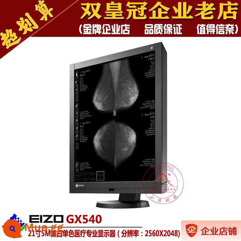 EIZO Yi Zhuo 21 inch RX340 chụp ảnh in ấn y tế chuyên nghiệp IPS bảo vệ mắt điểm cao MÀN HÌNH hiển thị LCD GX340 - Màn hình đen trắng điểm cao cấp EIZO GX540 21 inch 5M đơn sắc