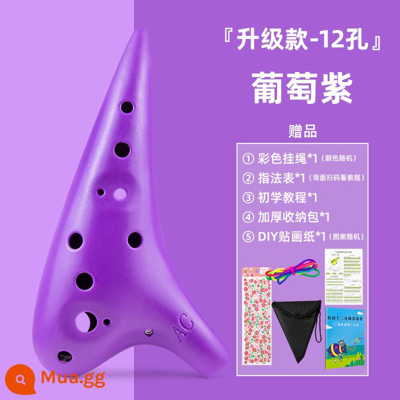 Ve Sầu Vàng Ocarina 12 Lỗ Nhựa Nhựa Alto C Giai Điệu 12 Lỗ AC Giai Điệu Ocarina Chống Rơi Học Sinh Người Mới Bắt Đầu - Alto Tím nâng cấp + Quà tặng + Tài liệu giảng dạy + Túi đựng