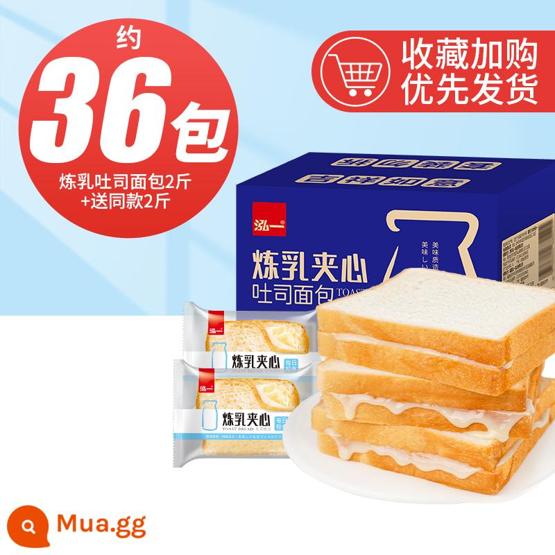 Hongyi Sandwich sữa đặc Bánh mì nướng Bánh mì ăn sáng Thức ăn nhanh Nguyên hộp Bánh ăn vặt tốt cho sức khỏe Đặt hàng Thực phẩm dinh dưỡng sinh viên - Chỉ 34,8 [Tổng cộng 4 catties / khoảng 36 túi] 2 catties bánh mì nướng sữa đặc + tặng 2 catties.