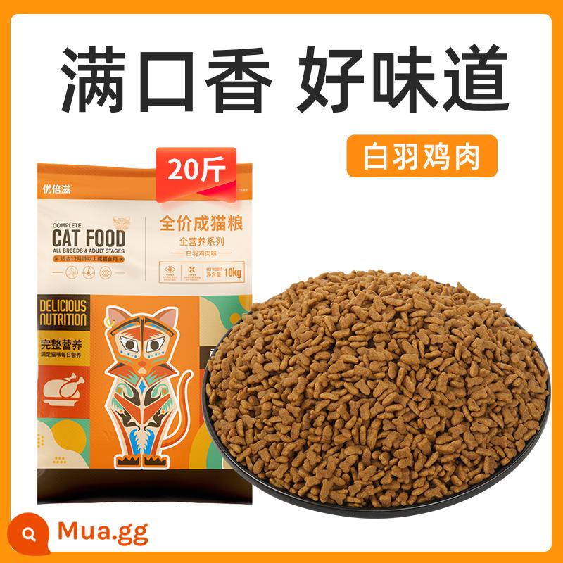 Thức ăn cho mèo gói 20 catties đông khô nguyên giá 10kg mèo trưởng thành thức ăn cho mèo con thức ăn vỗ béo lông mang dinh dưỡng máu thịt tươi đa năng túi lớn - [Công thức gà lông trắng] 20 catties-Thức ăn cho mèo trưởng thành