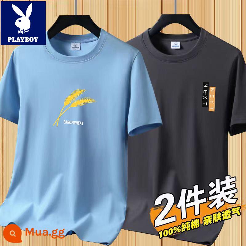 Áo thun tay ngắn Playboy nam mùa hè mới Áo thun cotton trắng nam cổ tròn top đáy áo sơ mi xu hướng - [2 chiếc 832 xám xanh + 831 xám đậm]