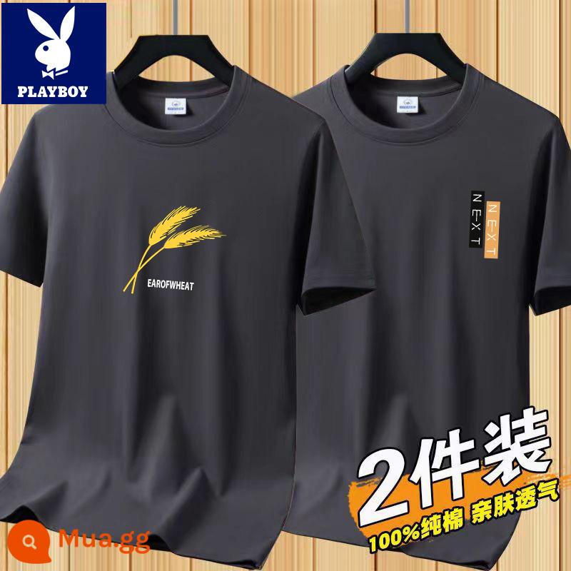 Áo thun tay ngắn Playboy nam mùa hè mới Áo thun cotton trắng nam cổ tròn top đáy áo sơ mi xu hướng - [2 chiếc 832 xám đậm + 831 xám đậm]