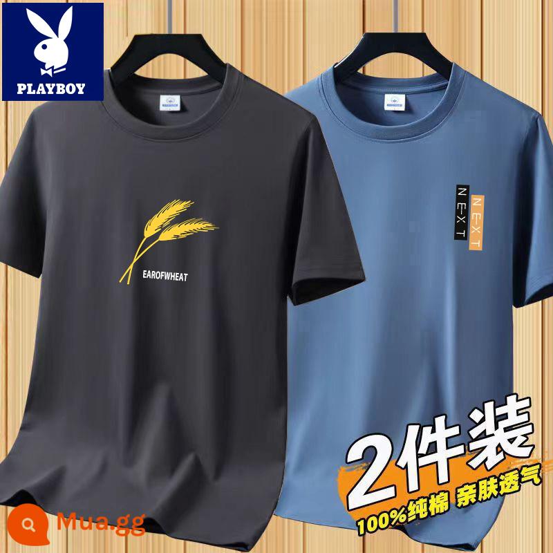 Áo thun tay ngắn Playboy nam mùa hè mới Áo thun cotton trắng nam cổ tròn top đáy áo sơ mi xu hướng - [2 chiếc 832 xám đậm + 831 xanh mờ]