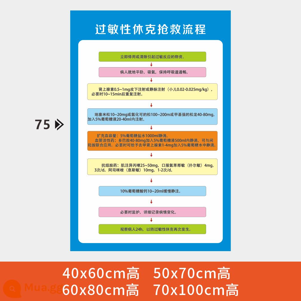 Phòng cấp cứu bệnh viện quy trình các bước sơ đồ treo tranh sơ đồ phản ứng sốc phản vệ hồi sức tim phổi sơ đồ cấp cứu - y01-Hình ảnh cứu hộ bệnh viện (75)