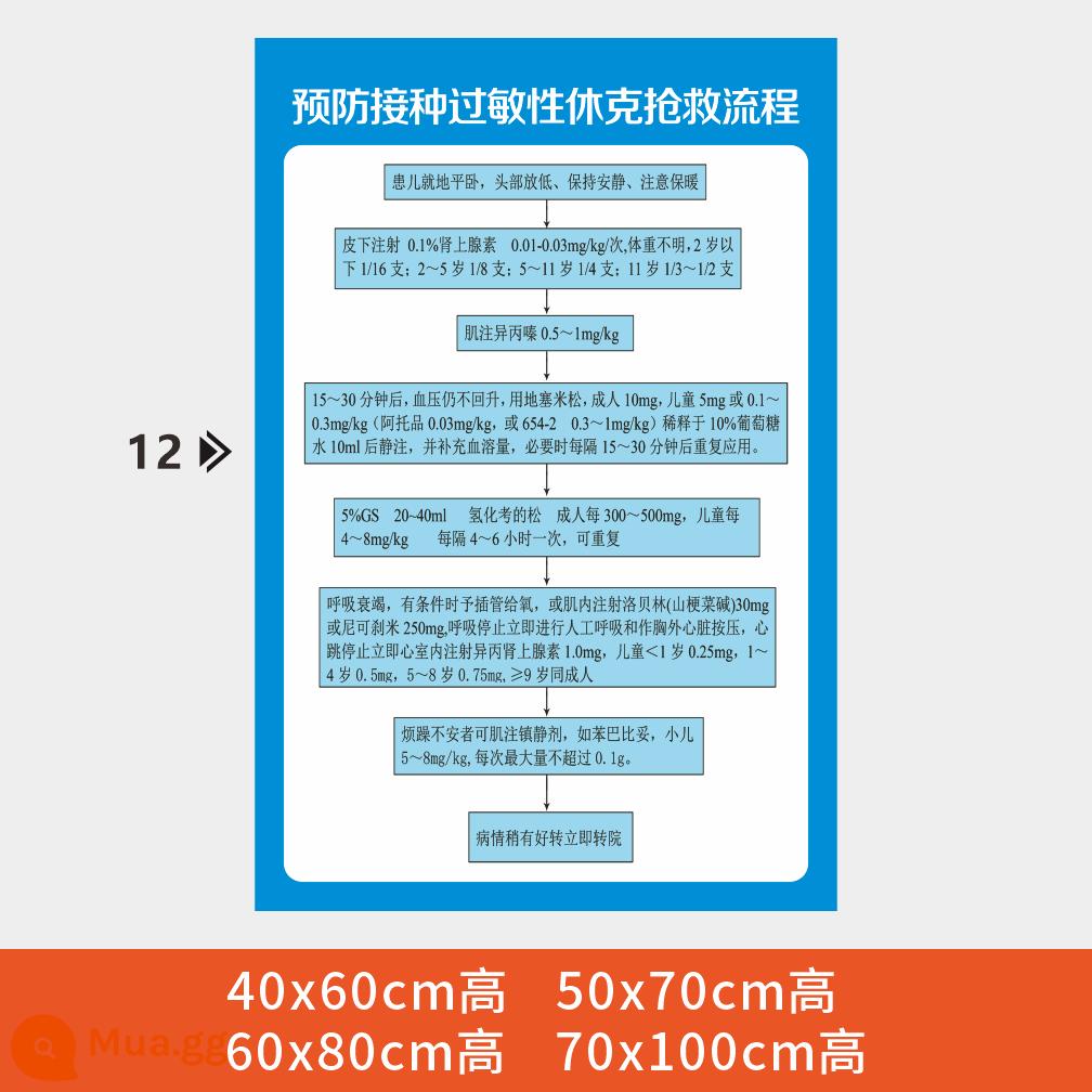 Phòng cấp cứu bệnh viện quy trình các bước sơ đồ treo tranh sơ đồ phản ứng sốc phản vệ hồi sức tim phổi sơ đồ cấp cứu - y01-Hình ảnh cứu hộ bệnh viện (12)