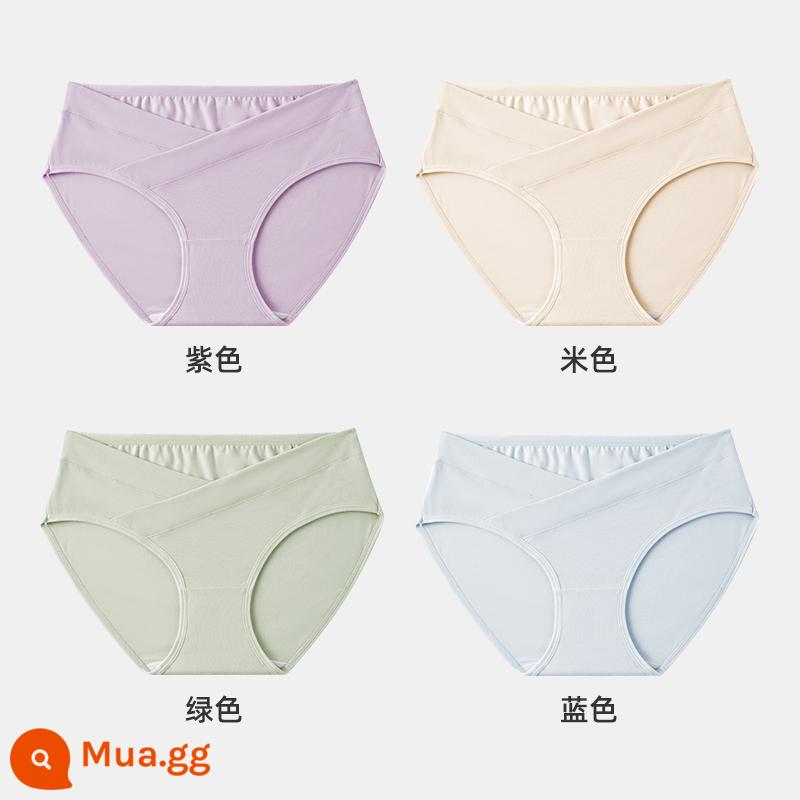 Jingqi đồ lót bà bầu nữ cotton nguyên chất mang thai cotton đặc biệt sớm, giữa và cuối thai kỳ eo thấp quần short cỡ lớn - tím + be + xanh + xanh