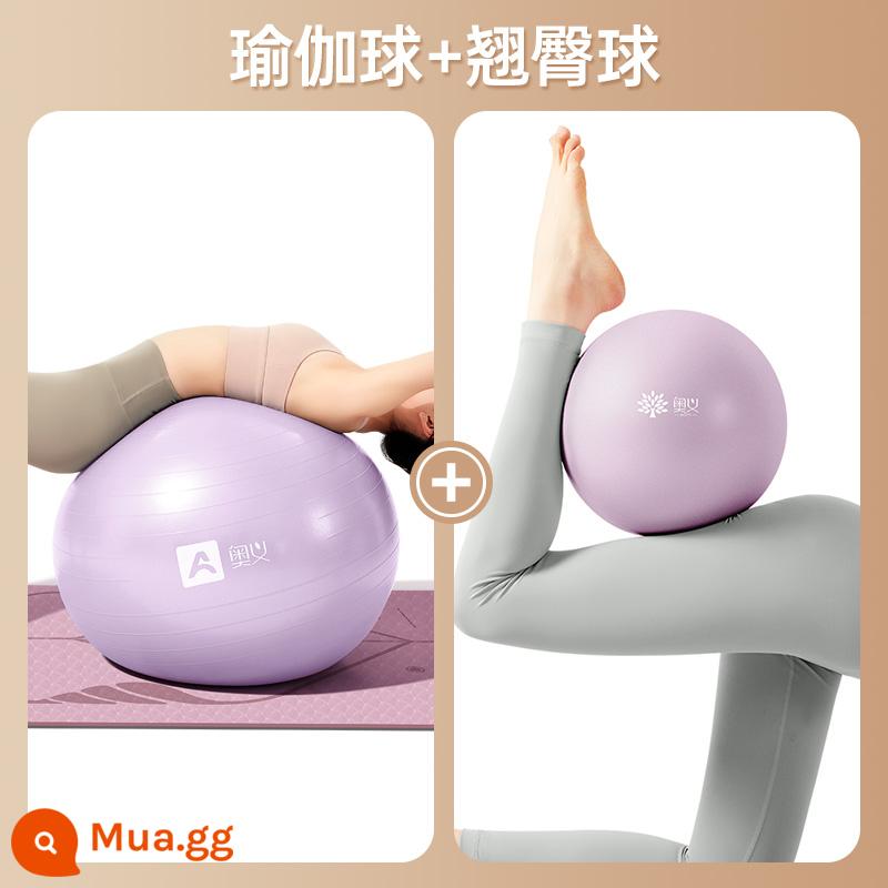 Bóng yoga dày chống cháy nổ bóng thể dục chính hãng đào tạo tích hợp cảm giác cho trẻ em bóng rồng lớn phụ nữ mang thai bóng giảm cân nữ hộ sinh đặc biệt - Bộ tập mông và đốt mỡ - Xiwu Zi] Bóng tập Yoga + Bóng tập mông