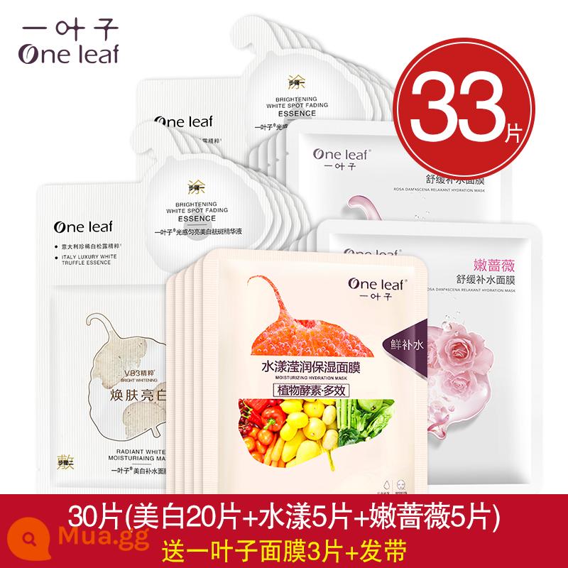 One Leaf Mask Dưỡng Ẩm, Dưỡng Ẩm, Làm Trắng Da, Làm Sáng Da Mụn, Thu Nhỏ Lỗ Chân Lông, Kiểm Soát Dầu, Loại Bỏ Mụn Hàng Chính Hãng Cho Nam Và Nữ - 33 viên [Làm trắng hai bước 20 + Aqua 5 + Rose 5] Tặng 3 viên + dây buộc tóc