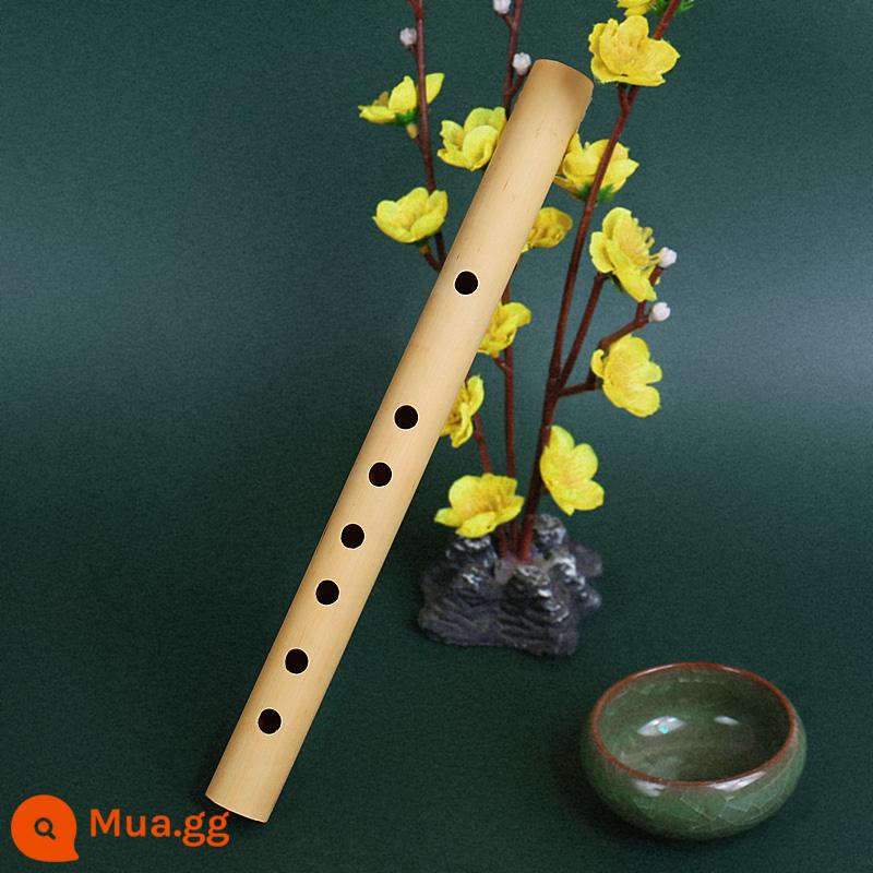 Người mới bắt đầu cổ xưa Sáo trúc đắng Người lớn Zero-Basic F-tune Trẻ em G Cross-Flute Giới thiệu Nhạc cụ nhỏ không phổ biến Piccolo không màng - kinh nghiệm thổi sáo