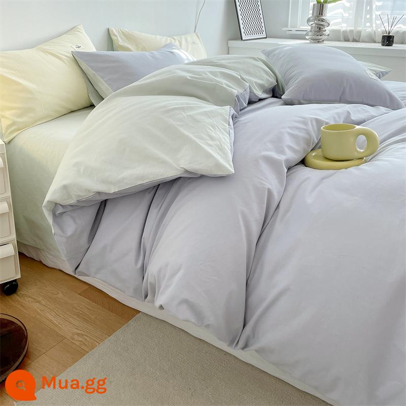 Bốn bông bông cotton cotton 100 Mùa đông dày tấm nghiền chăn chăn chăn chăn chăn hình dorment Ký túc xá ba giường ba bộ 4 bộ 4 - Xám vừa + xanh đậu [Vải 100 cotton, thân thiện với da và thoải mái]