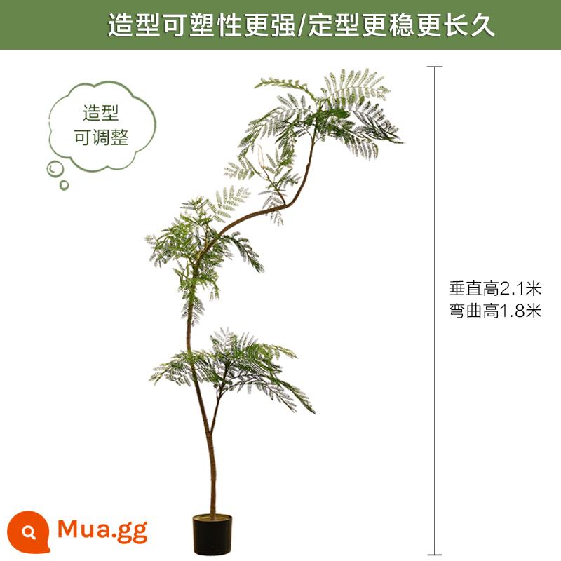 Màu xanh jacaranda mô phỏng cây xanh cao cấp ánh sáng sang trọng trong nhà trang trí phòng khách hoa sinh học giả cây trồng trong chậu lớn trên sàn - Jacaranda xanh nhạt sang trọng 180CM-A