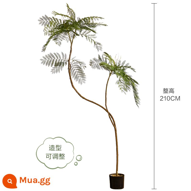 Màu xanh jacaranda mô phỏng cây xanh cao cấp ánh sáng sang trọng trong nhà trang trí phòng khách hoa sinh học giả cây trồng trong chậu lớn trên sàn - Jacaranda xanh nhạt sang trọng 210CM-C