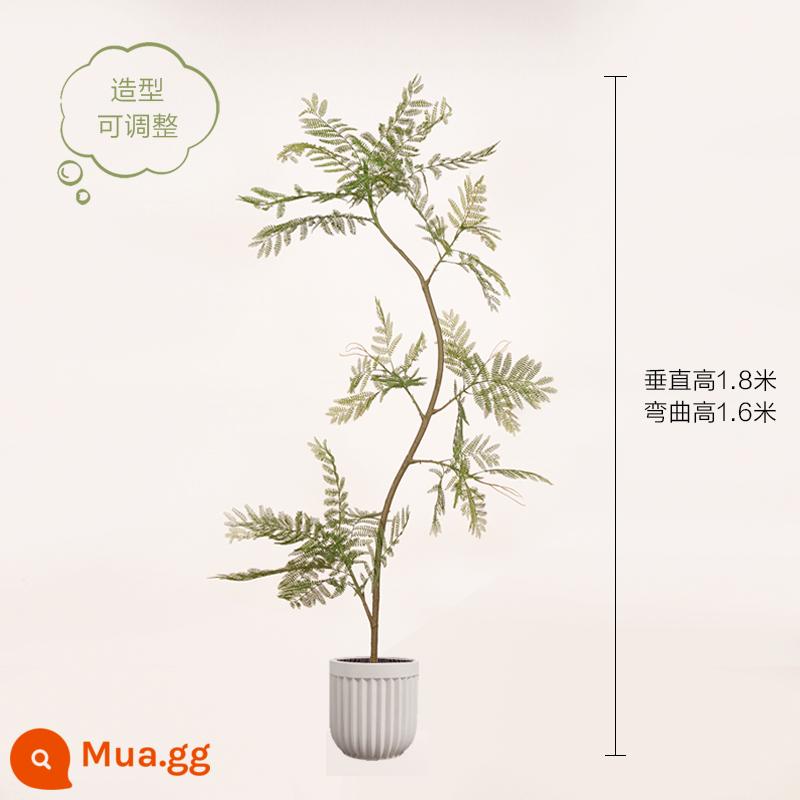 Màu xanh jacaranda mô phỏng cây xanh cao cấp ánh sáng sang trọng trong nhà trang trí phòng khách hoa sinh học giả cây trồng trong chậu lớn trên sàn - Chậu hoa tròn Jacaranda Pratt & Whitney 160CM-A + Gear 22*23 màu xanh