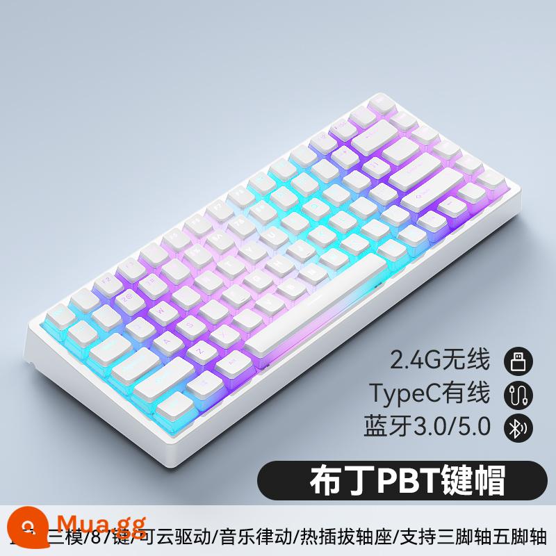 Tùy Chỉnh 3 Chế Độ 84 Phím Không Dây Có Dây Bluetooth RGB Tắt Tiếng Bàn Phím Cơ Có Thể Thay Nóng Bộ Chung Chủ Đề - Keycap bánh pudding trắng PBT ba chế độ nền trắng C84