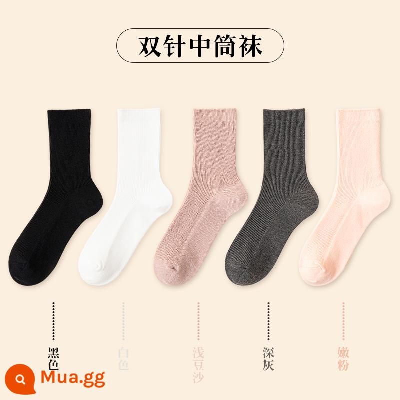 Vớ Nam Cực Vớ ống giữa dành cho nữ mùa thu đông vớ cotton màu trơn phiên bản Hàn Quốc vớ bong bóng Nhật Bản vớ giữ ấm thủy triều - [5 đôi] 1 đen 1 trắng 1 đậu nhạt 1 xám đậm 1 hồng dịu dàng