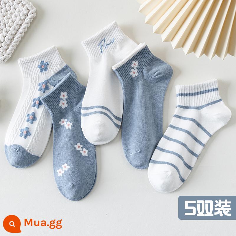 Tất, tất nữ, xuân hè, cotton nguyên chất, khử mùi, tất ống giữa nữ, xuân hè, tất cotton ngắn, tất vô hình bé gái, mùa hè - 5 đôi: 2013